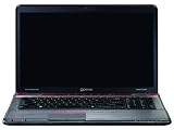Toshiba Qosmio X770-11C 43,9 cm (17,3 Zoll) Notebook (Intel Core i7 2670QM, 2,2GHz, 8GB RAM, 1TB HDD, NVIDIA GTX 560M, Blu-ray, Win 7 HP)
