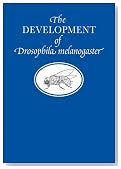 The Development of Drosophila melanogaster