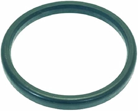 Portafilter Filter Holder Gasket (60x50x5.5 R) for Gaggia G105 G106, Fast Ricambi, LF, Nuova Ricambi, Pavoni Stradivari Europiccola Romantica