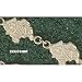East Carolina University Petey 1/2 Bracelet 7 1/2 -14K/10K Gold or Stainless Steel