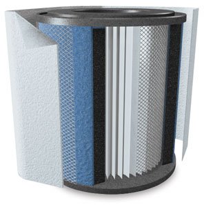 Austin HealthMate Air Cleaner - Black, Replacement Filter with Pre-Filter