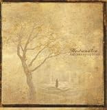 Autumn Syphony