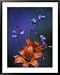 Wood Lily and Harebells, St. Ignace, Michigan, USA Botanical Framed Art Poster Print ...