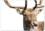 Emsa 509412 Brettchen Deer