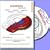 Learn SolidWorks by Video - SolidWorks 2009, SolidWorks 2008, and SolidWorks 2007