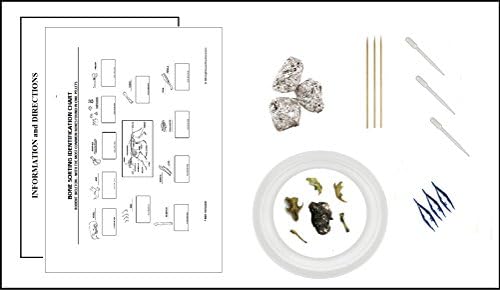 Owl Pellet 3 Pack Student Dissecting Kit