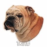 Eigenschaften Trixie  / Aufkl. Englische Bulldogge, (K)