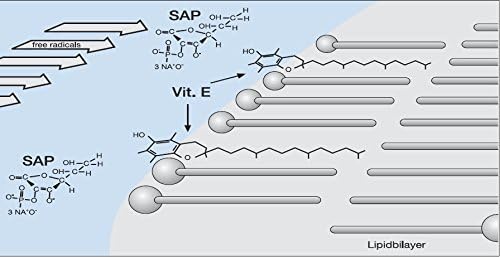 Vitamin C SAP (Sodium Ascorbyl Phosphate) Powder for DIY Cosmetic Use - 20 grams - Antioxidant, Anti Aging, Acne