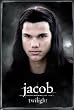 Twilight (Jacob) Movie Poster Print - 24" X 36"