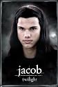 Twilight Movie Poster Jacob