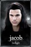 Twilight (Jacob) Movie Poster Print - 24 X 36 