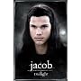 Twilight Movie Poster Jacob