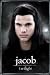 Kitchen & Housewares : Twilight - Jacob - Maxi Poster - 61 cm x 91.5 cm
