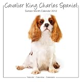 Cavalier King Charles Spaniel 2012 Portrait Studio Calendar