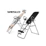 Weslo Inversion Flex System