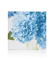 Hydrangea Wall Art