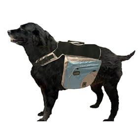 Outward Hound Excursion Dog Backpack (Colors Vary)
