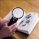 lluminated Magnifier Reader (Each)