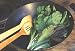 Stirfry Pan-Pacific Greens Renee's Seeds 900 Seeds