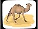 Decorated Mouse Pad with camel, mammal, hump, desert, animal