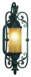 Eurofase 17517-010 Glenhaven 1-Light Large Wall Sconce, Antique Iron/Amber