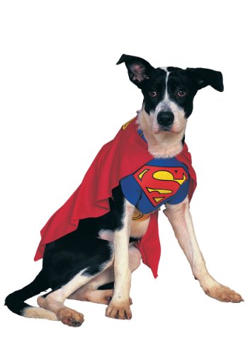  Superman Pet Costume