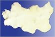 `Natural Sheepskin Pads Large Size