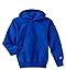 Champion CY4C CH Youth Sweatshirt Hood