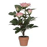 f-DECO ���[�Y�s���N 30cm