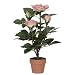 f-DECO ���[�Y�s���N 30cm