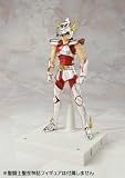 Saint Seiya - Appendix DX Display Base Stand for Saint Cloth Myth Figures