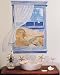 Beach Scene Window Starfish Sand Dollars Wallies Mural