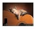 Sleeping Soundly by Xavier Chantrenne. PLAQUE MOUNTED. 16.77 inches width by 12.83 inches height. Highest Quality Art Poster Print