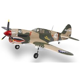 2.4G Extreme Detail 5-Channel AirField RC P-40 WarHawk 1400MM Radio Control Warbird Plane... from Helicopter Radio Systems