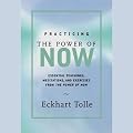 Practicing the Power of Now: Teachings, Meditations, and Exercises from the Power of Now (Unabridged)