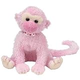 Review TY  / TY Poet the Monkey Beanie Baby