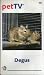 Degus - PET TV