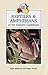 Reptiles & Amphibians of the Eastern Caribbean (Caribbean Pocket Natural History S.)