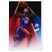 Richard Rip Hamilton Detroit Pistons Basketball Poster - 24x36
