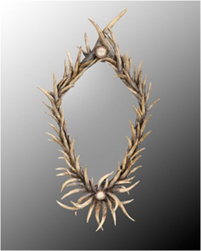Antler Mirror - JRM0267