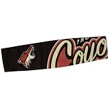 NHL Phoenix Coyotes FanBand Headband