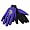 Minnesota Vikings