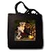 BK Dinky Bears Cartoon Halloween - Flying Witch and Mummy - Tote Bags