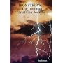 IRONSTRUCK ... The Ironman Triathlon Journey