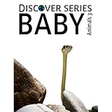 Baby Animals 3Discover Series Picture Book for Children (Kindle Kids Library)