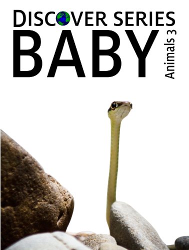 Baby Animals 3: Discover Series Picture Book for Children (Kindle Kids Library)