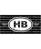 Holden Beach Rear Window Vinyl Graphic Decal