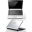 MSI U135-206US 10-Inch Silver Netbook - 3 Hour Battery Life