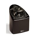 Satellite Speaker