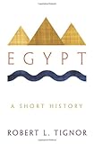 Egypt : a short history